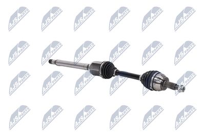 PLANETARA NTY NPWLR049 11