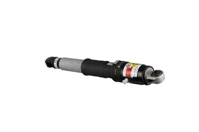 AMORTIZOR Arnott MR3436 31