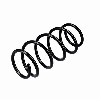 ARC SPIRAL EIBACH R10341 16