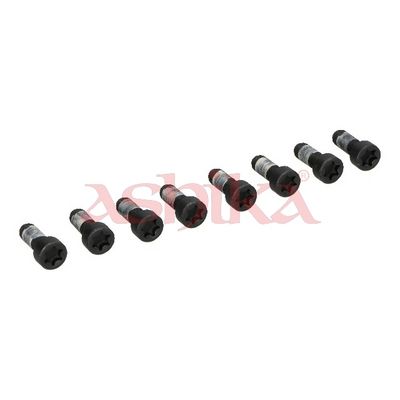 ASHIKA Schraube, Zahnkranzträger-Schwungrad