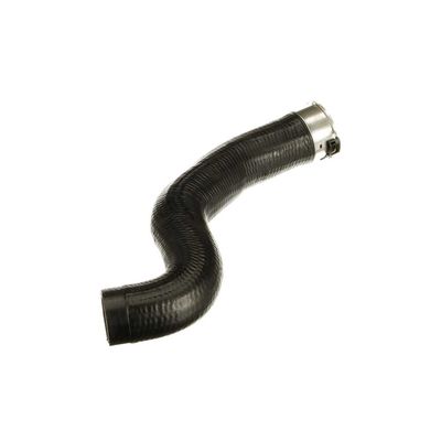 FURTUN EAR SUPRAALIMENTARE GATES 091624 45