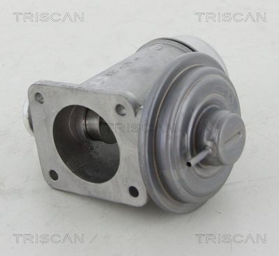 EGR-ventil TRISCAN 8813 11102