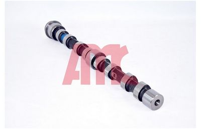 NOCKENWELLE AMC 647271 2