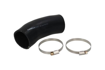 FURTUN EAR SUPRAALIMENTARE