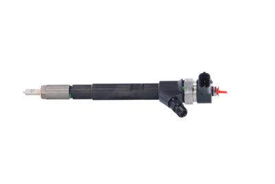 INJECTOR REMANTE 002003000145R 12