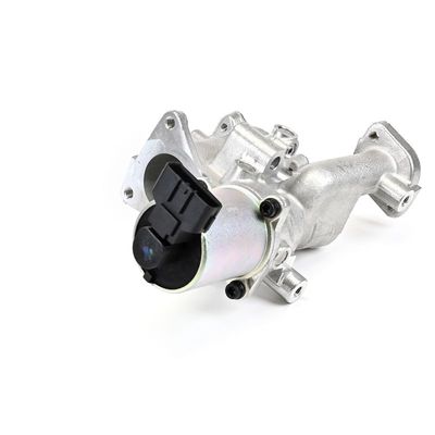 SUPAPA EGR DELPHI EG1046012B1 11