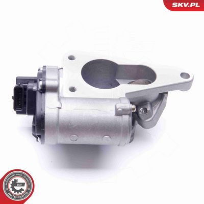 SUPAPA EGR ESEN SKV 14SKV165 5