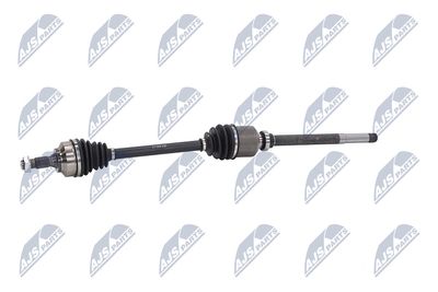 PLANETARA NTY NPWCT009 22