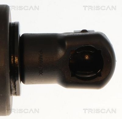 Dujinė spyruoklė, bagažinė TRISCAN 8710 28308