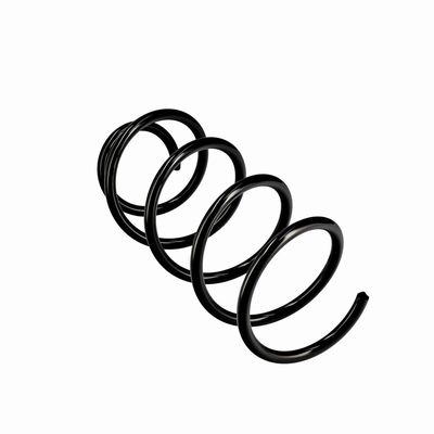 ARC SPIRAL EIBACH R10223 11