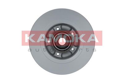 Brake Disc 1031063