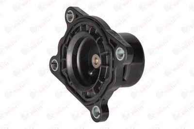 FLANSA LICHID RACIRE BIRTH 81798 9