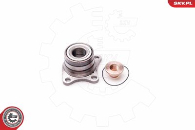 Wheel Bearing Kit 29SKV115