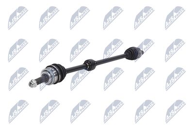 PLANETARA NTY NPWHY620 19