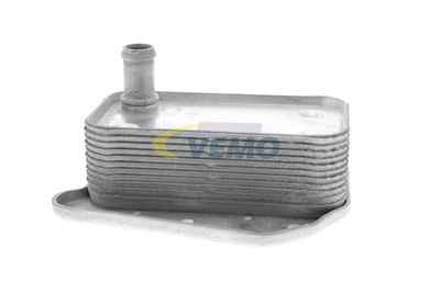 ÖLKüHLER MOTORöL VEMO V30601323 13