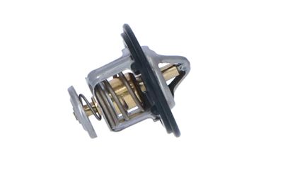 TERMOSTAT LICHID RACIRE NRF 725143 36