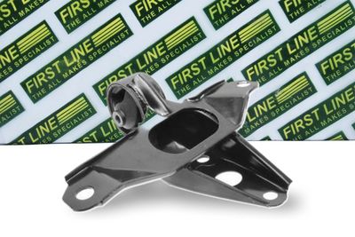 окачване, двигател FIRST LINE FEM3810