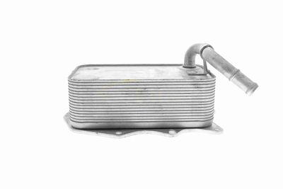 ÖLKüHLER MOTORöL VEMO V15600008 1