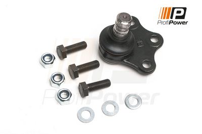 Šarnyras / girgždukas