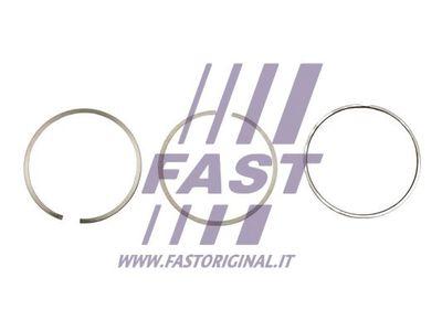 FAST FT47374/0 Комплект поршневых колец  для IVECO  (Ивеко Массиф)