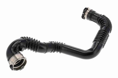 FURTUN EAR SUPRAALIMENTARE