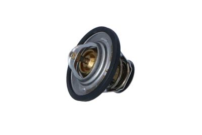 TERMOSTAT LICHID RACIRE NRF 725125 14