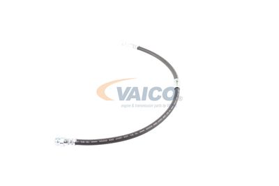 FURTUN FRANA VAICO V103077 26