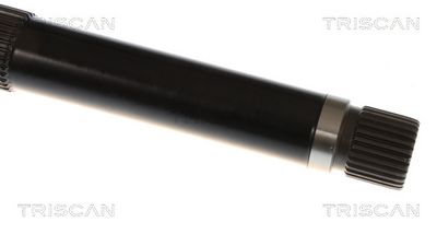 PLANETARA TRISCAN 854043521 2