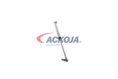 AMORTIZOR PORTBAGAJ ACKOJA A320095 24