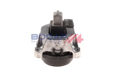 BOGAP Variklio montavimas