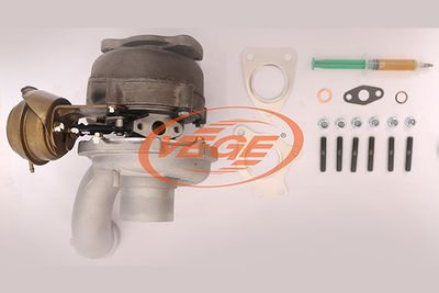 LADER AUFLADUNG VEGE 08881964 4