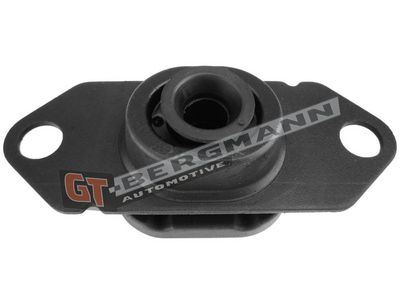 GT-BERGMANN Automotive Montavimas, neautomatinė transmisija