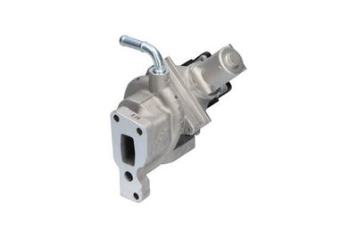 SUPAPA EGR Kavo Parts EEG7507 12