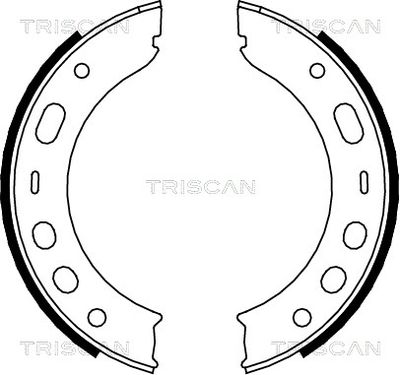 TRISCAN Bremsbackensatz, Feststellbremse