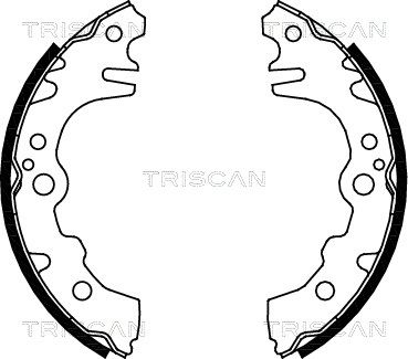 TRISCAN 8100 41619 Тормозные колодки барабанные  для DAIHATSU  (Дайхатсу Тревис)