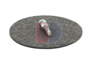 REGELVENTIL KOMPRESSOR AKS DASIS 859024N 10