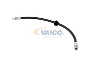 FURTUN FRANA VAICO V204103 8