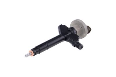 INJECTOR REMANTE 002003000191R 63