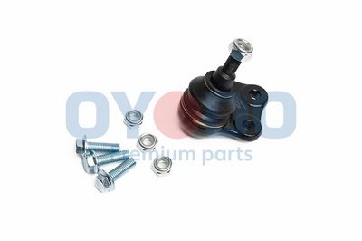 Šarnyras / girgždukas