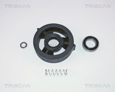 TRISCAN 8540 27302 Підвісний підшипник 