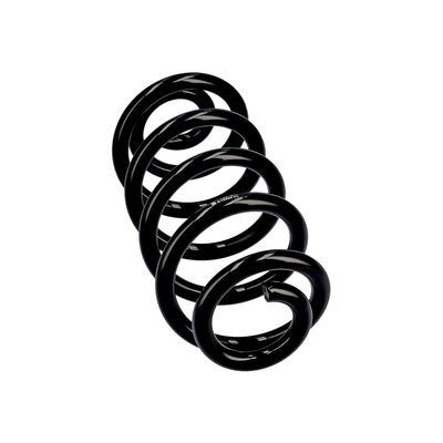 ARC SPIRAL EIBACH R10553 24