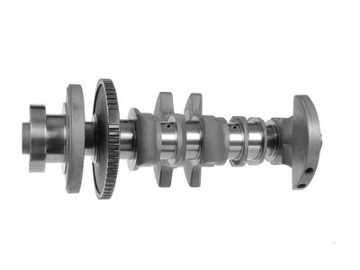 ARBORE COTIT ET ENGINETEAM HK0216 17