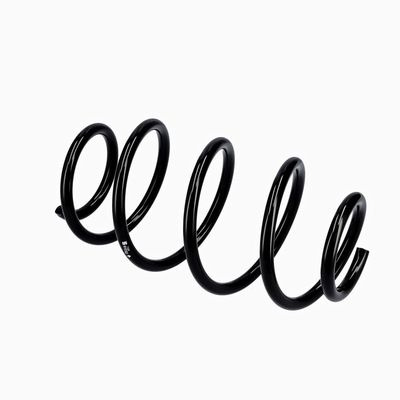 ARC SPIRAL EIBACH R10302 9