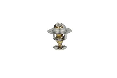 TERMOSTAT LICHID RACIRE NRF 725083 33