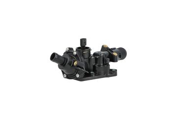 TERMOSTAT LICHID RACIRE NRF 725078 13