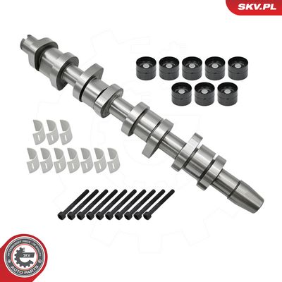 Sada vačkového hřídele ESEN SKV 80SKV303