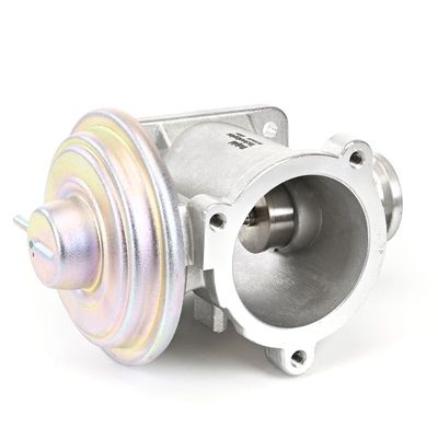 AGR-VENTIL DELPHI EG1043312B1 11