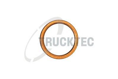 INEL ETANSARE SURUB DRENA ULEI