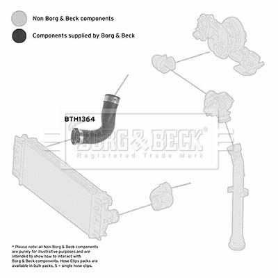 Charge Air Hose Borg & Beck BTH1364