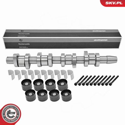 SET AX CU CAME ESEN SKV 80SKV303